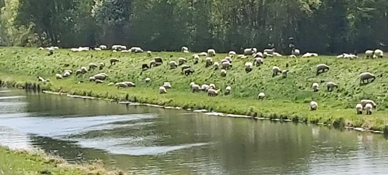 de lüt Ferienhof Jameln Exterior foto