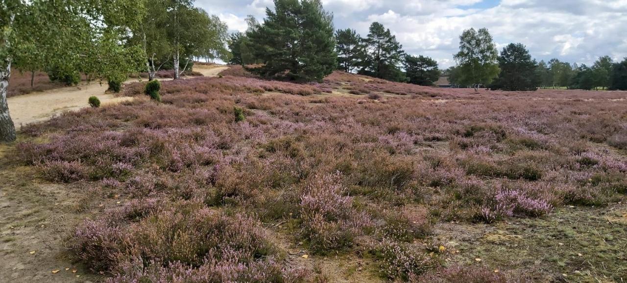de lüt Ferienhof Jameln Exterior foto